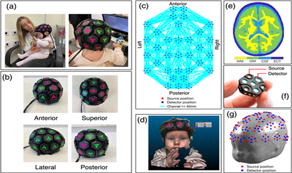 A New Window on the Infant Mind: Whole-Head HD-DOT