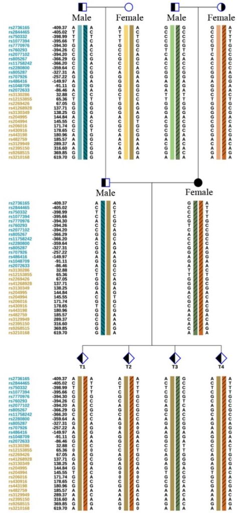 Exploring Genotype-Phenotype Correlations in Rare Nonclassic Congenital Adrenal Hyperplasia Due to 21-Hydroxylase Deficiency: A Systematic Review