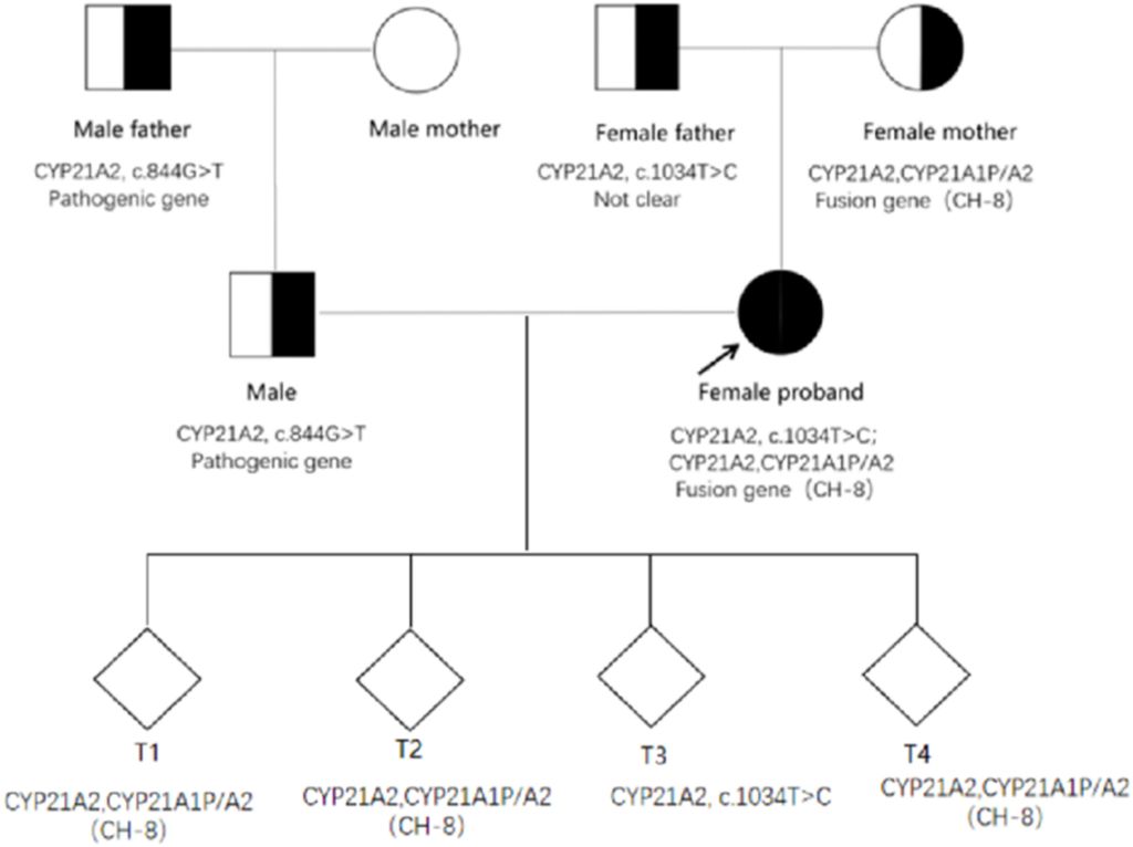 Exploring Genotype-Phenotype Correlations in Rare Nonclassic Congenital Adrenal Hyperplasia Due to 21-Hydroxylase Deficiency: A Systematic Review