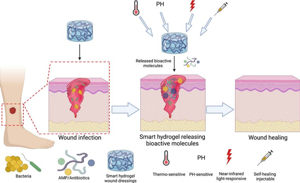 Chronic Wound Treatment