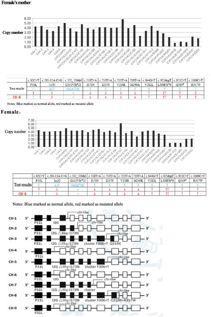 Exploring Genotype-Phenotype Correlations in Rare Nonclassic Congenital Adrenal Hyperplasia Due to 21-Hydroxylase Deficiency: A Systematic Review